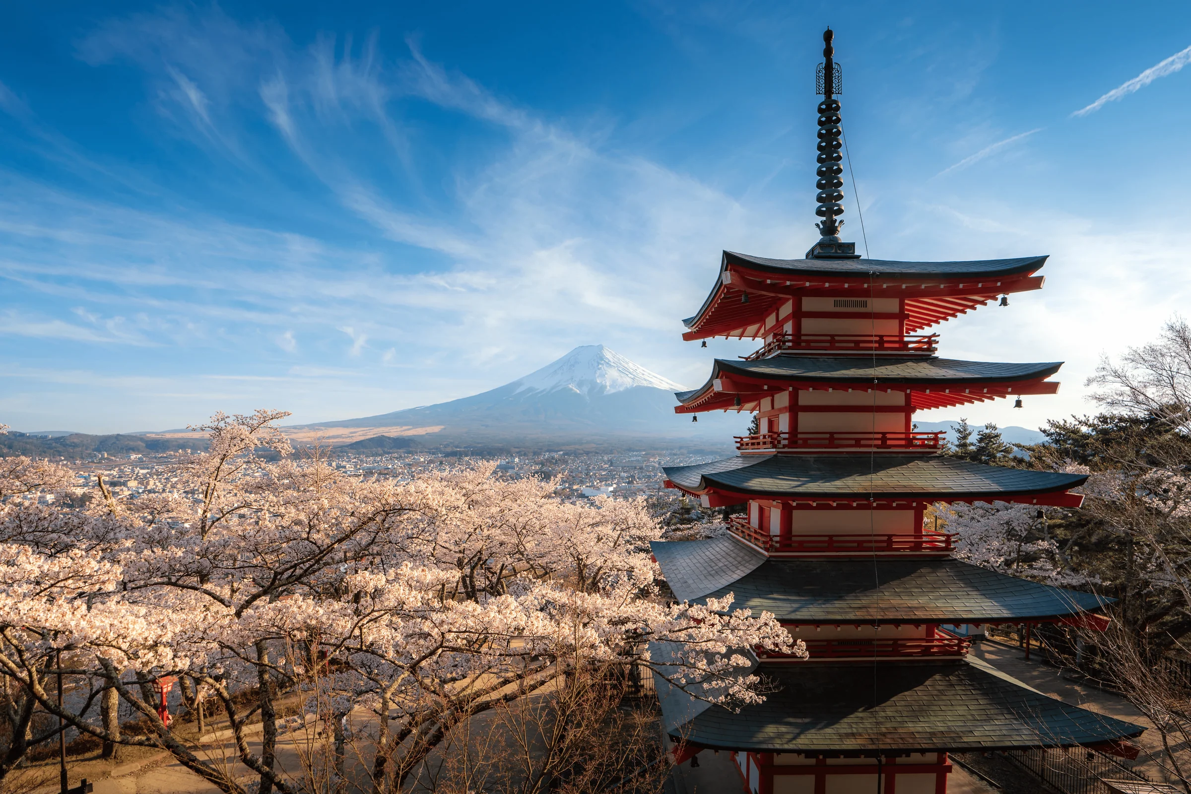 L'élégance du Japon, signée Tenko