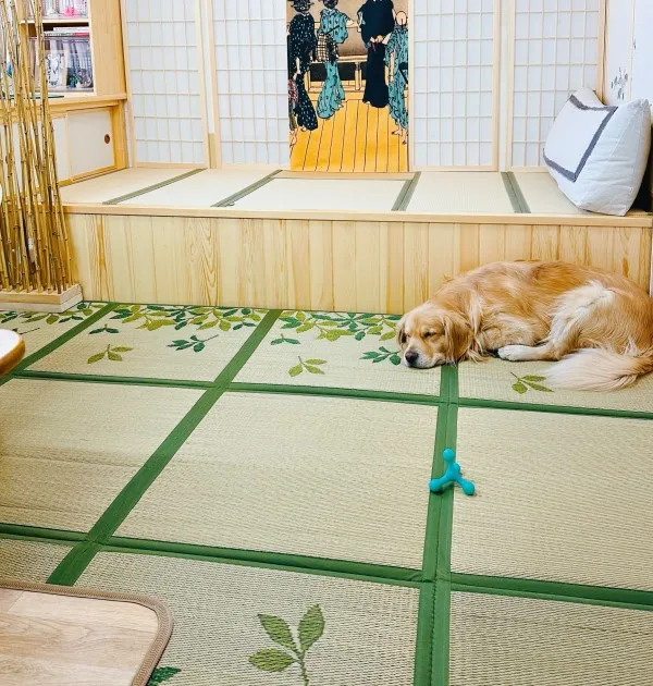 Tapis Japonais Tatami à Feuillages - Image 2