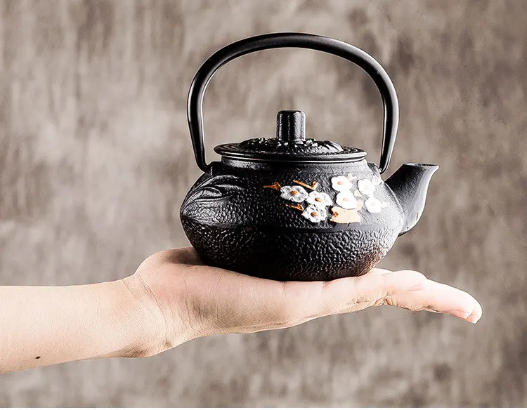 Théière Japonaise Design - Image 9